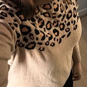 leopard sweater